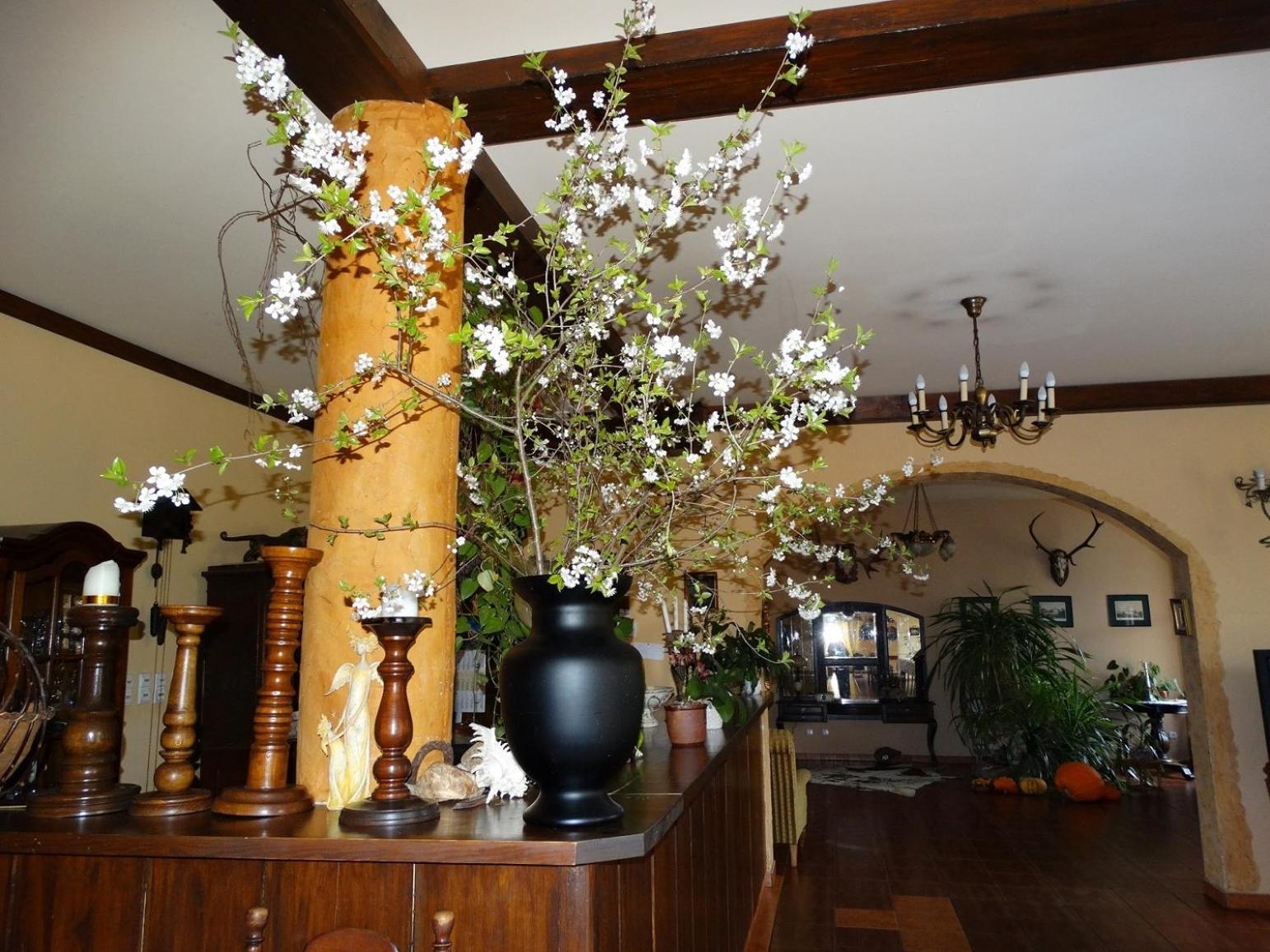 Pan Tadeusz Hotel Rzeczyca (Swiebodzin)
