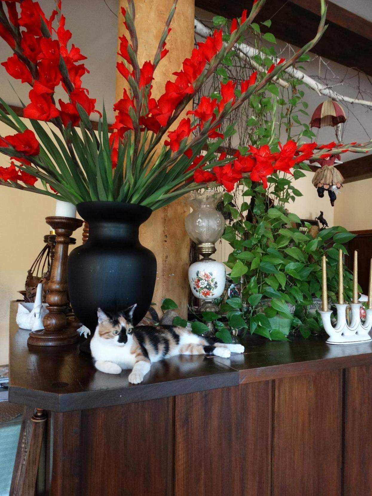 Pan Tadeusz Hotel *