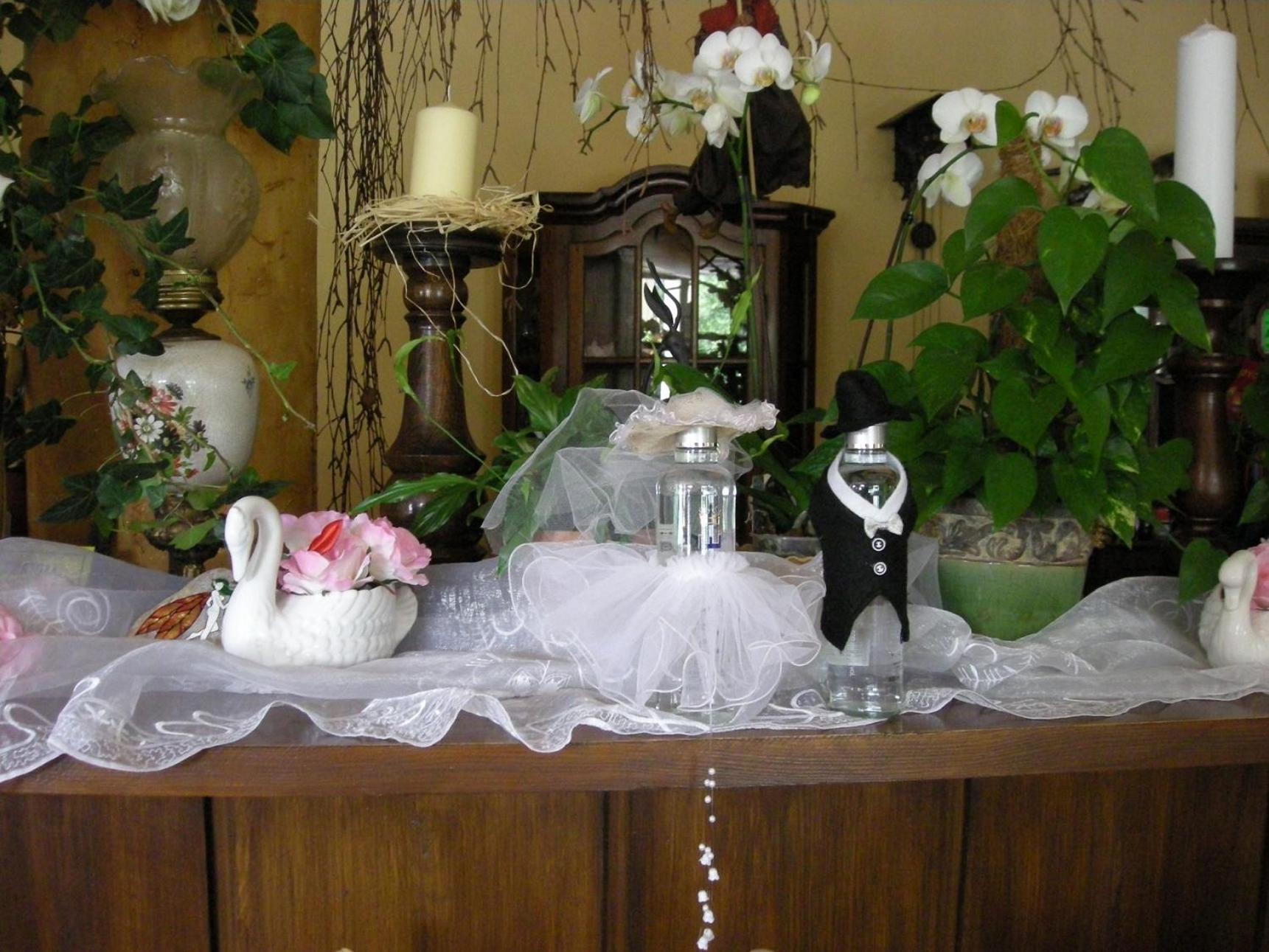 Hotel Pan Tadeusz Rzeczyca (Swiebodzin)